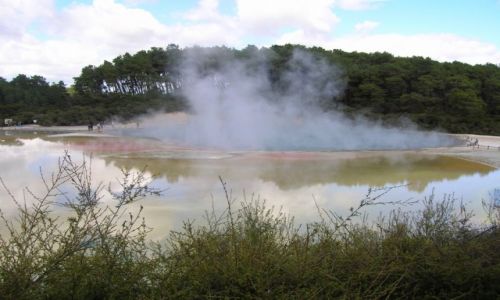Zdjcie NOWA ZELANDIA / Rotorua / park gejzerow / Opary gejzerow