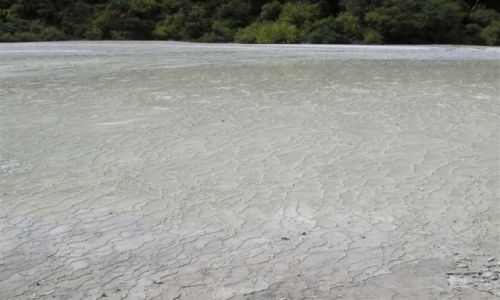 Zdjcie NOWA ZELANDIA / Rotorua / Park gejzerow / Gorace tarasy