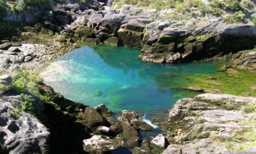 Zdjcie NOWA ZELANDIA / Pn. wyspa / Lake Taupo-miasto / Przy tamie rzeki Waikato