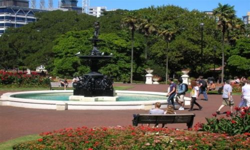 Zdjecie NOWA ZELANDIA / Pn. wyspa / Auckland-Albert park / W parku