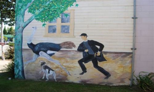 Zdjęcie NOWA ZELANDIA / Pn. wyspa / Kati kati -miasteczko / Pogon za strusiem--Muriel