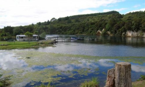 Zdjcie NOWA ZELANDIA / Pn. wyspa / Lake Taupo-miasto / Wzdluz rzeki Waikato