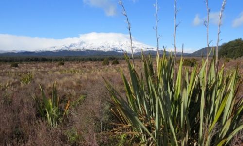 NOWA ZELANDIA / Wyspa Pnocna / Park Narodowy Tongariro / Przedwionie