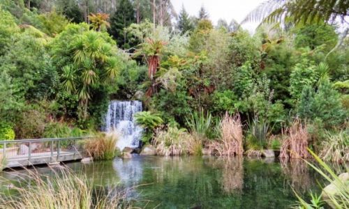 NOWA ZELANDIA / Wyspa Pnocna / Rotorua / Rainbow Springs