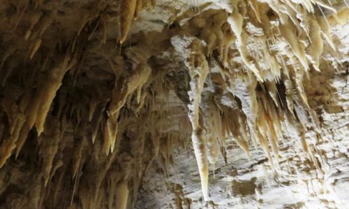 NOWA ZELANDIA / Wyspa Pnocna / Waitomo / jaskinia
