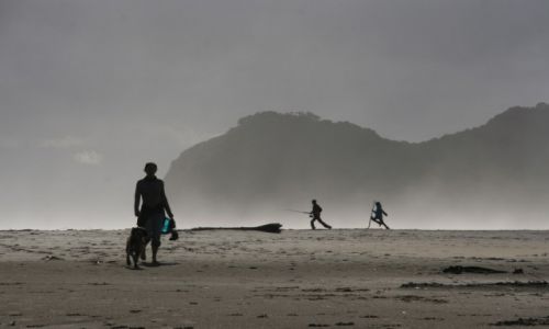 Zdjecie NOWA ZELANDIA / Wyspa pnocna / Piha Beach / Refleksja