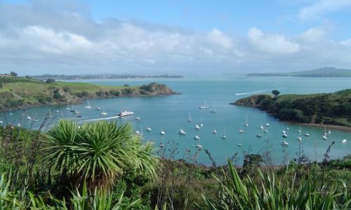 Zdjecie NOWA ZELANDIA / brak / Waiheke Island / Waiheke Island - zatoczka