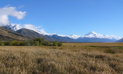 Zdjcie NOWA ZELANDIA / Wyspa Poudniowa / Aoraki NP / Aoraki