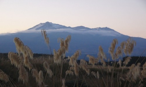 Zdjęcie NOWA ZELANDIA / Wyspa Północna / Tongariro NP / Ruapehu