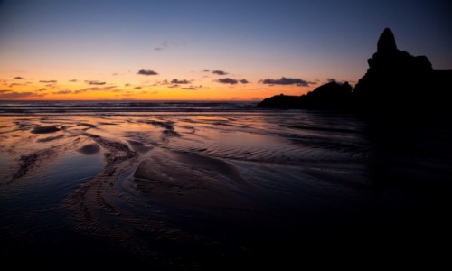 Zdjcie NOWA ZELANDIA / West Coast, Auckland / Piha Beach / Piha Beach