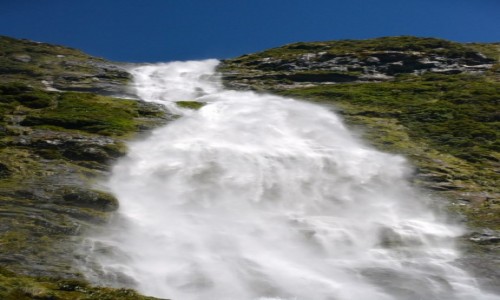 Zdjęcie NOWA ZELANDIA / Southland / Park Narodowy Fjordów / 580 m wody w dół