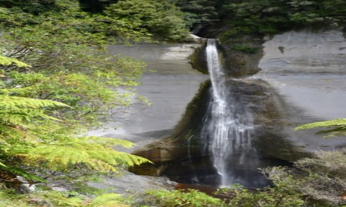 Zdjęcie NOWA ZELANDIA / Taranaki / Tatu / Wodospad Mt Damper