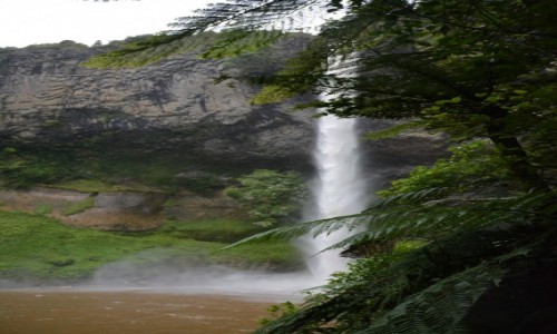 Zdjęcie NOWA ZELANDIA / Waikato / Te Mata / Wodospad Bridal Veil