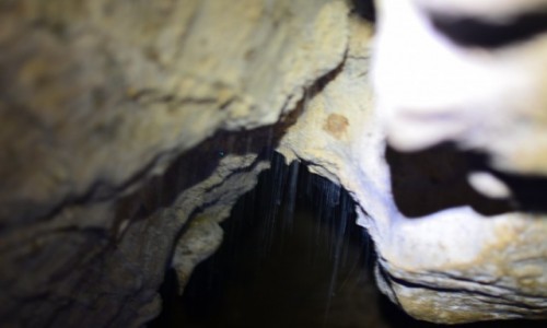 Zdjecie NOWA ZELANDIA / Waitomo / Ruakuri cave / Uwierz w ducha