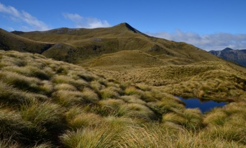 Zdjecie NOWA ZELANDIA / Fiordland / Borland Road / Fiordland