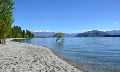 Zdjecie NOWA ZELANDIA / WyspaPoudniowa / Jezioro Wanaka / widoczek