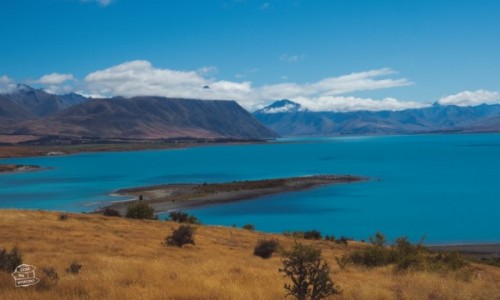 Zdjecie NOWA ZELANDIA / Tekapo / Tekapo / Nowa Zelandia Tekapo