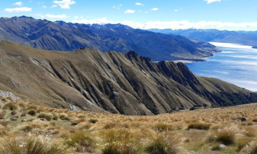 Zdjecie NOWA ZELANDIA / Fiordland / . / Szlak Milford