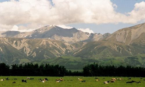 NOWA ZELANDIA / Wyspa poudniowa /  Kaikoura / widoczek