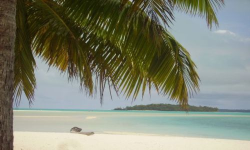 Zdjecie NOWA ZELANDIA / Wyspy Cooka / Atol Aitutaki / atol