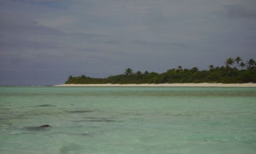 Zdjecie NOWA ZELANDIA / Wyspy Cooka / Atol Aitutaki / atol