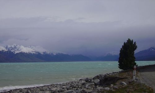 Zdjęcie NOWA ZELANDIA / Wyspa Południowa / Lake Pukaki / jezioro