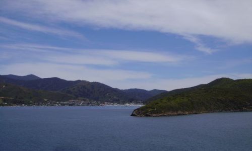 Zdjęcie NOWA ZELANDIA / Wyspa Południowa / Charlotte Sound / fiordy Charlotte Sound