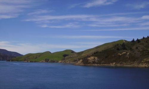 Zdjęcie NOWA ZELANDIA / Wyspa Południowa / fiordy Charlotte Sound / promem na Wyspę Północną