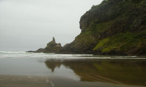 Zdjęcie NOWA ZELANDIA / Wyspa Północna / plaZa Piha / odbicie na plaży Piha