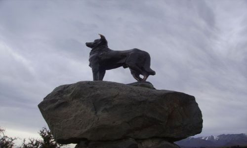 Zdjęcie NOWA ZELANDIA / Wyspa Południowa / nad Jez.Tekapo / pomnik psa rasy Collie