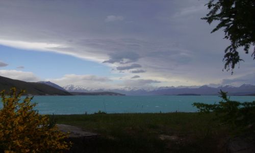 Zdjęcie NOWA ZELANDIA / Wyspa Południowa / jezioro Tekapo / Lake Tekapo