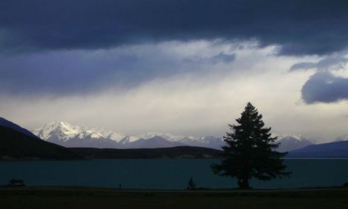 Zdjęcie NOWA ZELANDIA / Wyspa Południowa / jezioro Tekapo / wieczór nad jeziorem