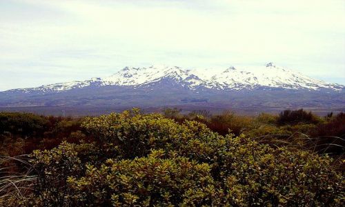 Zdjęcie NOWA ZELANDIA / Wyspa Pólnocna / Tongariro Nat.Park / wulkan Rupaheu