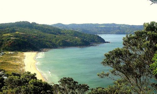 Zdjecie NOWA ZELANDIA / Wyspa Północna / Półwysep Coromandel / zatoczka w Tairura