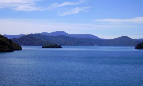 Zdjecie NOWA ZELANDIA / Wyspa Południowa / Charlotte Sound / Charlotte Sound w drodze na Wyspę Północną