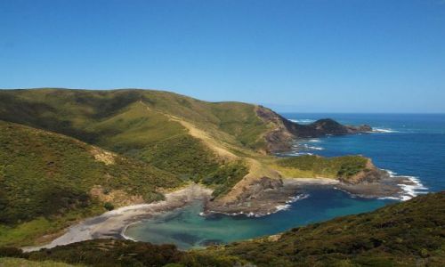 Zdjecie NOWA ZELANDIA / Far North in Northland / Sandy Bay- Pn wybrzeże NZ / Sandy Bay