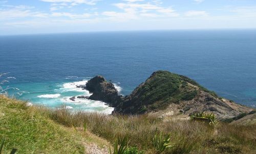 Zdjecie NOWA ZELANDIA / Far North, Northland / Cape Reinga / Cape Reinga