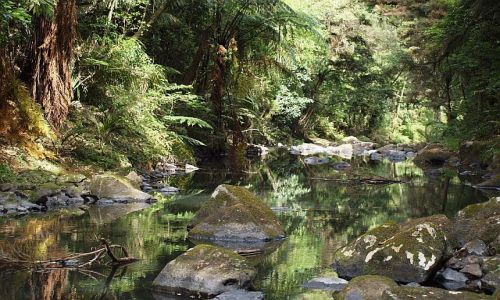 Zdjecie NOWA ZELANDIA / Northlad / okolice Whangarei / Whangarei  river