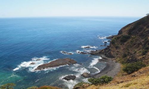 Zdjęcie NOWA ZELANDIA / Far North, Northland / okolice Cape Reinga / wzdłuz pn wybrzeza...