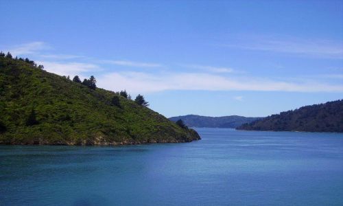 Zdjęcie NOWA ZELANDIA / Wyspa Południowa / Charlotte Sound / rejs przez Charlotte Sound