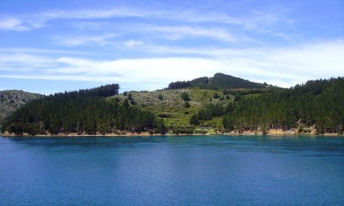 Zdjęcie NOWA ZELANDIA / Wyspa Południowa / Charlotte Sound /