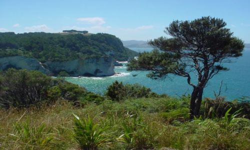 Zdjęcie NOWA ZELANDIA / brak / tauranga / new zealand