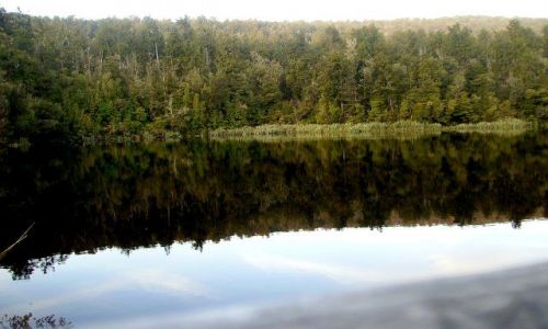 Zdjęcie NOWA ZELANDIA / -Południowa Wyspa / okolica Fox Glazier / Jezioro Matheson