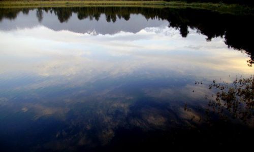 Zdj�cie NOWA ZELANDIA / -Po�udniowa Wyspa / Jezioro Matheson / Niebo na ziemi