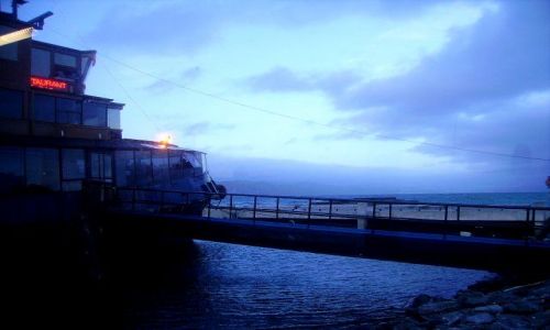 Zdjęcie NOWA ZELANDIA / Wyspa Północna / Wellington / Wellington - restauracja rybna