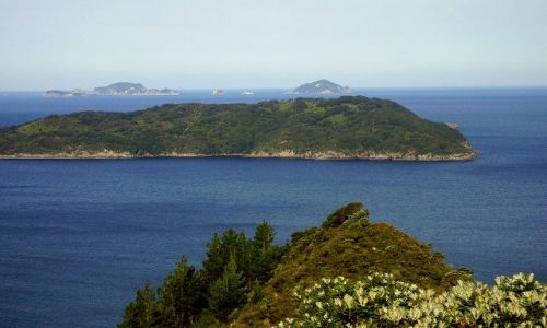 Zdjecie NOWA ZELANDIA / Wyspa Pnocna / Plwysep Coromandel / wyspa za wysp, a za ni znowu wyspa