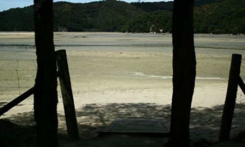 Zdjęcie NOWA ZELANDIA / brak / Abel Tasman national park / Torrent Bay - odpływ