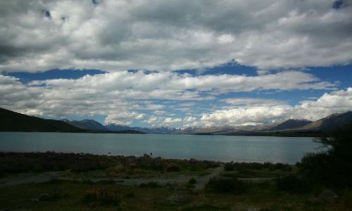 Zdjęcie NOWA ZELANDIA / brak / Tekapo / Tekapo