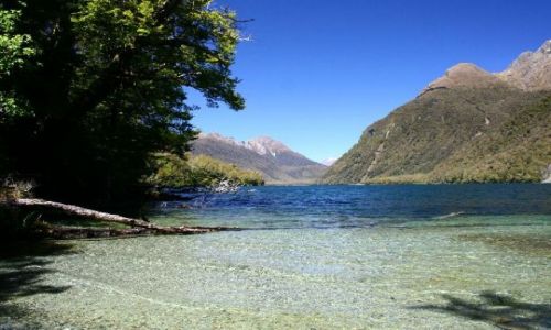 Zdjecie NOWA ZELANDIA / brak / Milford Sound / W drodze do Milford Sound