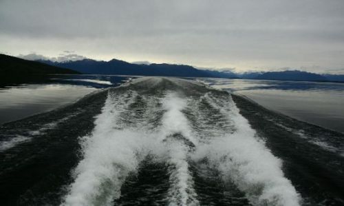 Zdjęcie NOWA ZELANDIA / brak / Te Anau / Te Anau